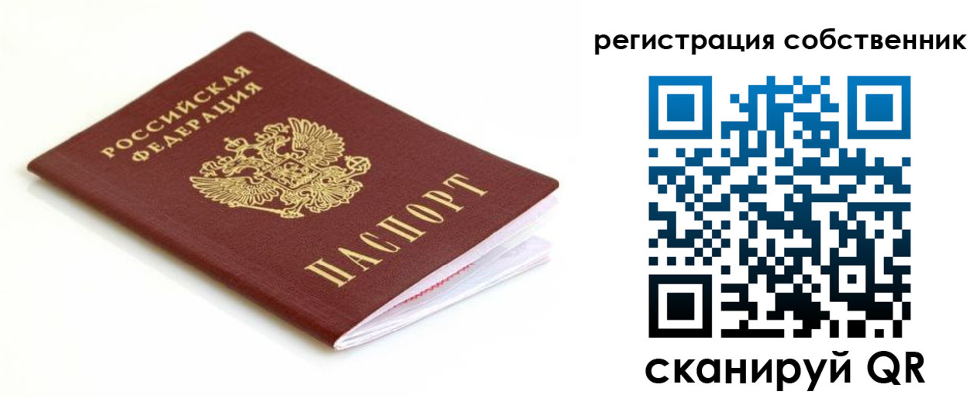 временная регистрация надежно в Палласовке